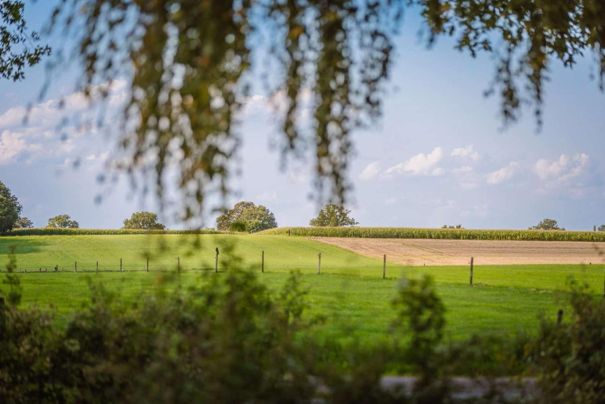 Zicht Op Twente - Spa Lodges Markelo Exterior foto